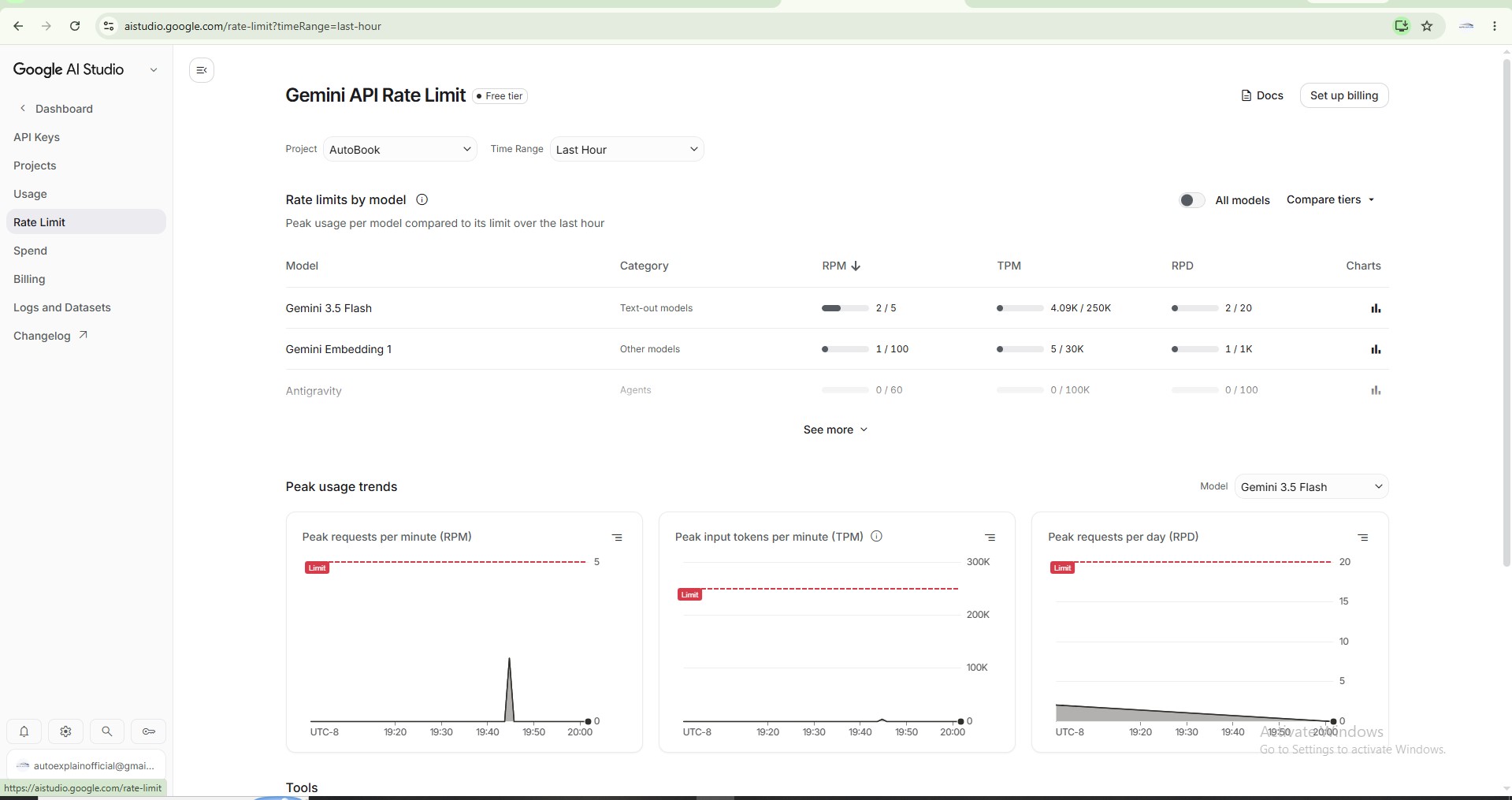 How to Check Your API Key Usage